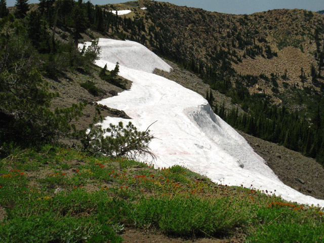 Snow berm along top of Mount Reba's North Side